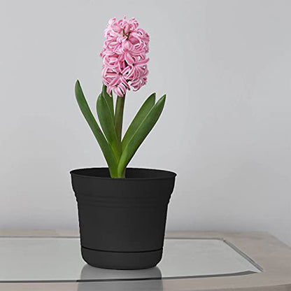 Bloem 010280 Saturn Planter with Saucer, 5", Black (SP0500), 5" - color: Black, size: 5"
