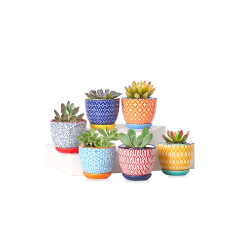 Selamica Ceramic 2.4 Inch Succulent Pots, Mini Flower Pots for Cactus Plant with Drainage Holes & Saucers, Home Decor, Set of 6, Assorted Colors - color: Assorted Colors, size: 2.4 Inch, Set of 6
