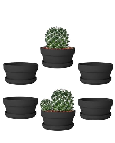 5.7 Inch Black Terracotta Shallow Succulent Pots - 6 Pack Terra Cotta Clay Pot with Saucer, Cacuts Indoor and Outdoor Planters with Drainage Hole - color: Black, size: 5.7 Inch