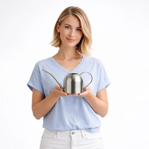 IMEEA Indoor Watering Can for House Plants 33oz/1L Brushed Stainless Steel Watering Can with Long Spout for Succulents, Bonsai - color: 33oz (Silver)