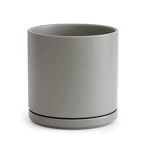 D'vine Dev 8 Inch Ceramic Planter Pot, Grey, 94-O-D-3 | Modern Cylinder Design, Drainage Hole & Saucer Included, Stable Structure, Elegant Home Accent - color: Gray, size: Medium