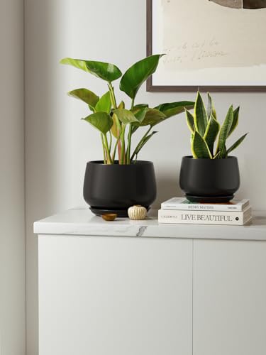 LE TAUCI Plant Pots, 4.1+5.1+6.5 inch, Set of 3, Ceramic Planters with Drainage Hole and Saucer, Indoor Flower Pot with Hole Mesh Pad, Gifts for Mom, Black - color: Black