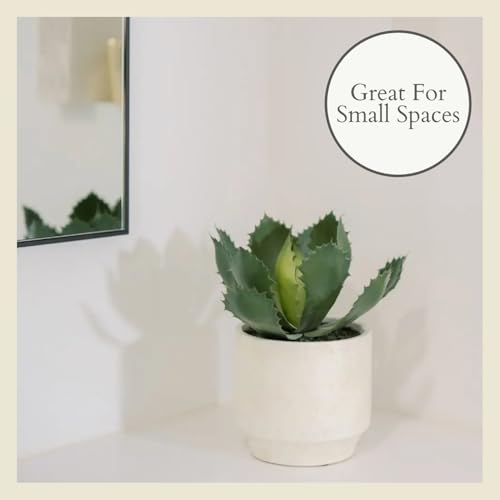 CG Hunter Round Faux Succulent Arrangement, Set-of-2 Premium Artificial Indoor Plants Enhances Interior Design, Display on Any Surface in Your Home Adding an Inviting Touch of Nature, Pots Included - size: 10" Round Set-of-2