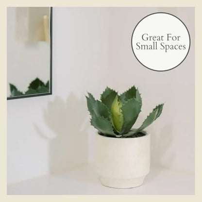 CG Hunter Round Faux Succulent Arrangement, Set-of-2 Premium Artificial Indoor Plants Enhances Interior Design, Display on Any Surface in Your Home Adding an Inviting Touch of Nature, Pots Included - size: 10" Round Set-of-2