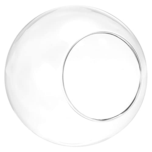 PATIKIL Round Globe Terrarium Air Plant Planter, 4.8 Inch Clear | High Borosilicate Glass, Table Decorations, for Succulent, Tillandsia - size: 4.8 Inch