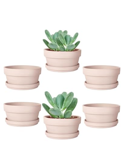 3.7 Inch Pink Terracotta Shallow Succulent Pots - 6 Pack Terra Cotta Clay Pot with Saucer, Cacuts Indoor and Outdoor Planters with Drainage Hole - color: Pink, size: 3.7 Inch