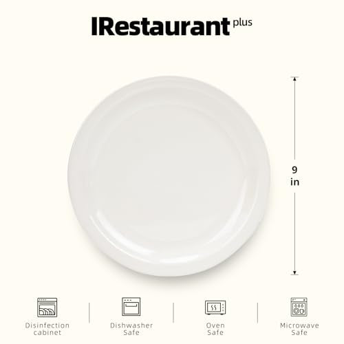 Stoneware Narrow Rim Commercial Grade Dinnerware America White, Plate 9", Case of 24 - color: America White, size: Plate 9"