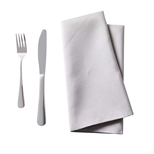 Bailarina Cloth Napkins Set of 80,17x17 inches Dinner Napkins Cloth Washable,Polyester Square Table Cloth Napkin Bulk with Hemmed Edges Ideal for Banquets, Parties and Weddings-Silver - color: Silver