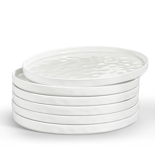 LIANYU Dinner Plates Set of 6, 10.2 Inch Large Ceramic Dessert Plate for Kitchen, Porcelain Serving Dishes for Salad Appetizer Cake Bread, Scratch Resistant, Microwave & Dishwasher Safe, Polar White - color: Polar White, size: 10.2 Inch for 6