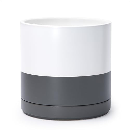 D'vine Dev 10 Inch Ceramic Planter Pot, White/Grey, 94-O-E-6 | Modern Cylinder Design, Drainage Hole & Saucer Included, Stable Structure, Elegant Home Accent - color: White/Speckled Grey, size: Large
