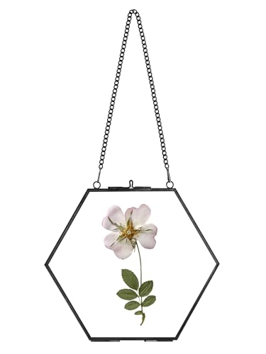 REDHUGO Glass Pressed Flower Frame Handmade, Hexagon, Black | Double Glass, Brass Floating Picture Frames, Wall Hanging Round Picture, for Dried Flowers Home Wall Decor (FRAME ONLY) - color: Black, size: 6L" x 7.1W"