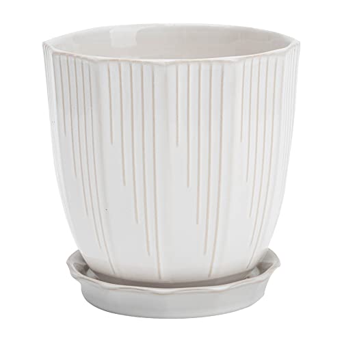 ADN 6Inch White Ceramic Planter Pot with Drainage Hole and Saucer | Modern Indoor Outdoor Small Decorative Planter Pot, for Home,Garden,Office Gift; 6/8/10 inch - color: White, size: 6 in