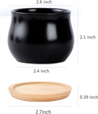SHECIPIN 2 Pack Succulent Pots, 2.5 Inch Mini Ceramic Pots for Flower or Cactus Plants with Drainage Hole,Plants Not Included (Black) - color: 2 Pack Black Mini Pots