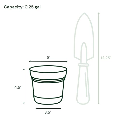 Bloem Saturn Planter w/Saucer 5" Charcoal Gray (SP05908) - color: Charcoal Gray, size: 5"