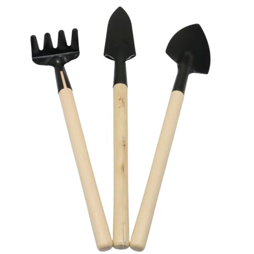 Mini Garden Tools, 3 Pcs Indoor Gardening Tools Set with Small Trowel, Mini Shovel & Hand Rake, Rust-Resistant Metal & Solid Wood for House Plant Tools, Succulent & Bonsai Potting