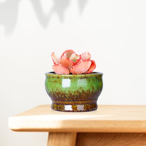 ARTKETTY Succulent Pots, 4.3 Inch Small Plant Pots with Drainage Set of 5 | Ceramic Pots for Indoor Plants Glazed Cactus Flower Planter Container - color: 4.3"-round(5pcs)