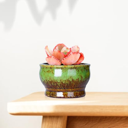 ARTKETTY Succulent Pots, 4.3 Inch Small Plant Pots with Drainage Set of 5 | Ceramic Pots for Indoor Plants Glazed Cactus Flower Planter Container - color: 4.3"-round(5pcs)