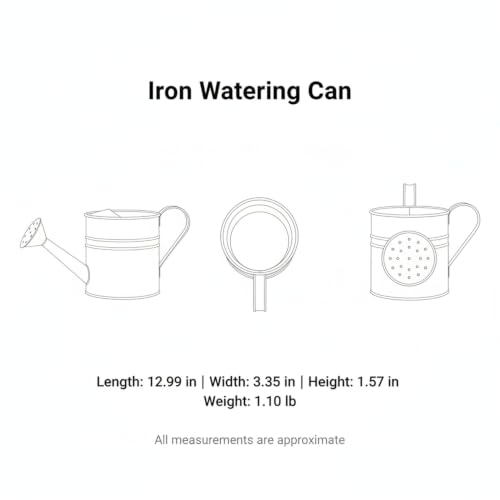 Long Spout Iron Watering Can for Indoor & Outdoor Plants, Durable Metal Design with Precise Flow Control (1 Pack) - color: Pink