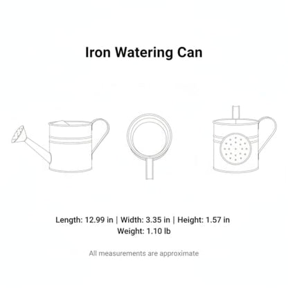 Long Spout Iron Watering Can for Indoor & Outdoor Plants, Durable Metal Design with Precise Flow Control (1 Pack) - color: Pink