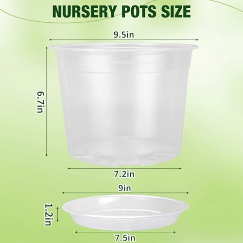 10 Inch Clear Nursery Pots with Drainage Holes and Saucers, 5 Pack Large Clear Pots for Plants Variety Pack, Seedling Pots for Succulents, Herbs, Flowers, Vegetables - size: 10 inch
