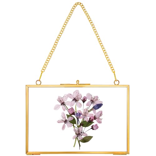 REDHUGO Hanging Pressed Flower Frame Handmade, Gold, 4×6 inches | Double Glass Picture Frame Floater frame Floating Frame for Pressed Flowers Home Wall Artwork, Rectangle Horizontal - color: Gold, size: 6L" x 4W"