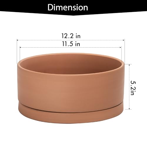 D'vine Dev Terracotta Shallow Planter Pot with Saucer, 12 in, 40-Y-C-0 | Wide Bowl Design, Unglazed Terracotta, Porous & Breathable, Minimalist Style, Ideal for Succulent Arrangements - size: 12 Inch