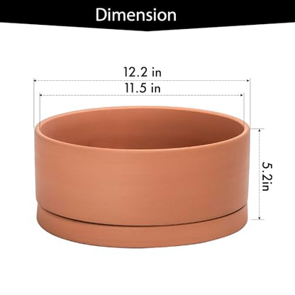 D'vine Dev Terracotta Shallow Planter Pot with Saucer, 12 in, 40-Y-C-0 | Wide Bowl Design, Unglazed Terracotta, Porous & Breathable, Minimalist Style, Ideal for Succulent Arrangements - size: 12 Inch
