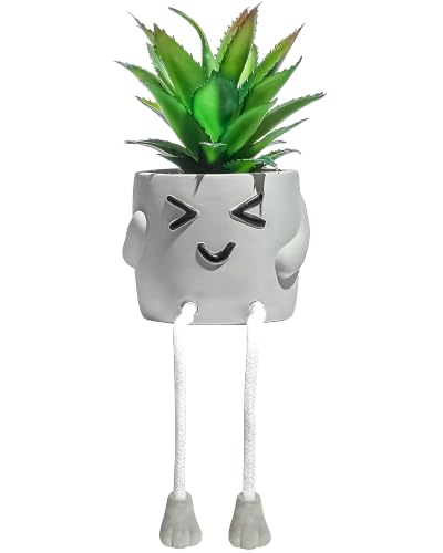Small Fake Plants Office Decor - Fake Succulents Plants Artificial for Desk Decor- Shelf sitters with Dangling Legs - Fake Plant Office Decorations for Work - Office Decor for Women - Office - size: Fuzz (Set of 1)