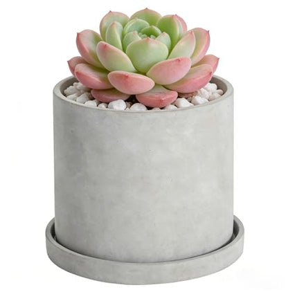 Ekirlin 5.6 Inch Indoor Plant Pot, Natural Cement Grey Garden Planters, Outdoor Concrete Flower Plant Pots with Drain Hole Saucer Tray, Modern Succulents Containers for Home Decor & Garden Plants - size: 5.6 inch