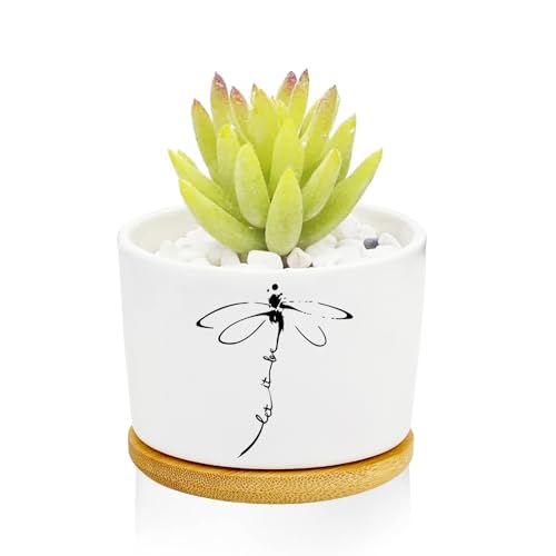 1Pcs Dragonfly Succulent Pots with Drainage and Bamboo Tray, Ceramic Pot | 3 Inch Small Planters for Plants,Cactus,Decoration for Office Home,Garden,Windowsill,Gifts for Women Mom (No Plants Included) - style: Dragonfly
