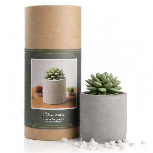 Reed Diffuser Set, 3.38 fl oz/100 ml Succulent Ceramic Fragrance Diffuser Vase Set, Home Fragrance Reed Diffuser for Bathroom Office Living Room Decor (Citrus Verbena) - color: Citrus Verbena