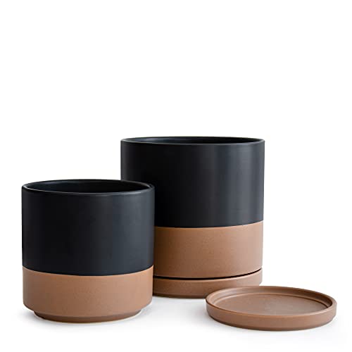 D'vine Dev 2-Pack Ceramic Pots with Saucers, 8/10 in, Black/Tan, 94-G-L-7 | Glazed Ceramic, Drainage Hole, Perfect-Fit Saucer, Sleek Cylinder Shape, High Temperature Fired, Elegant Home Accent - color: Black/Speckled Tan, size: Large