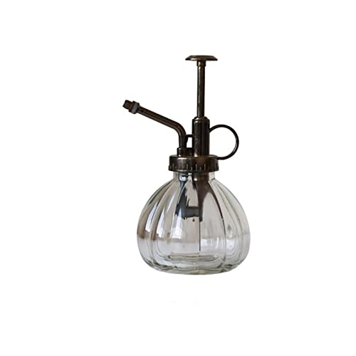 Glass Plant Mister Watering Can Spray Bottles with Top Pump, 6.4" Tall Vintage Fine Mist Succulent Plant Spritzer, Small Decorative Watering Can Gift for Indoor Outdoor Garden House Plant (Clear) - color: Clear