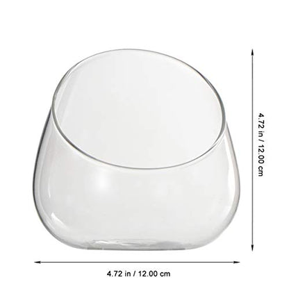 Cabilock Clear Slant Cut Bubble Bowl Glass Vase Bowl Round Globe Planter Terrarium Orb Candy Dish Fruit Jar Floral Container for Home Office Decor