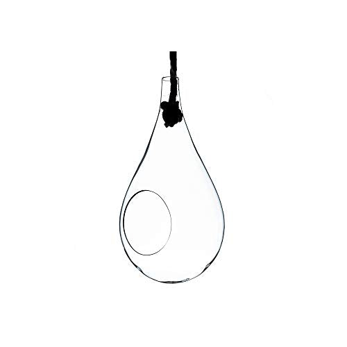 WGV Hanging Planter Terrarium, Width 6", Height 11", DIY Clear Glass Succulents Air Teardrop Floral Container (Including Rope), Candle Holder Vase for Outdoor Indoor Decor, 1 Piece - size: Teardrop 11"H