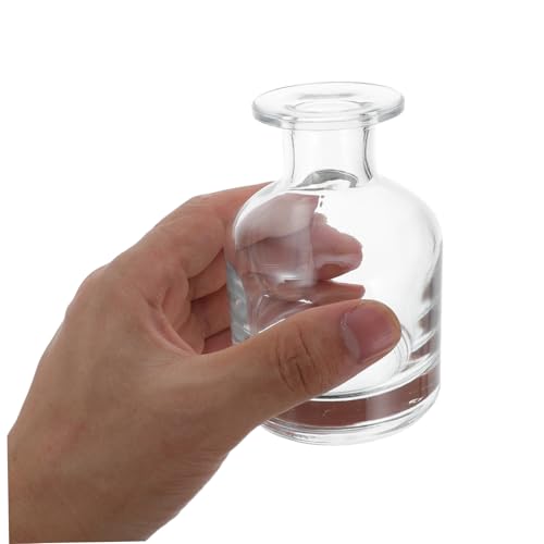 Didiseaon 2pcs Decorative Glass Oil Diffuser Bottles Essential Oil Diffuser Containers Reed Sticks - color: Transparent