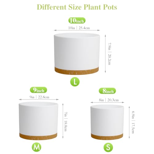Large Plant Pots Set of 3 – 8", 9", 10" Indoor Flower Pots with Drainage Holes and Saucers, Big Planters for Monstera, Fiddle Leaf Fig, Snake Plant – 5 Colors - color: White With Brown Base