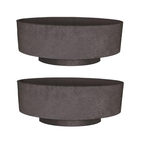 The HC Companies 8 Inch Round Plastic Succulent Capri Bowl Decorative Indoor Flower Succulent Planter Pot with Drain Plug Hole, Faux Concrete Color (2 Pack) - color: Faux Concrete, size: 8" (Pack of 2)