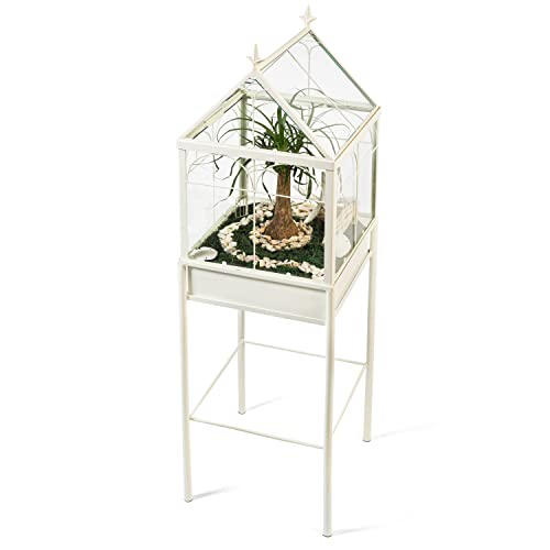 H Potter Freestanding Wardian Case Terrarium | Metal & Glass, Plant Stand - size: Medium
