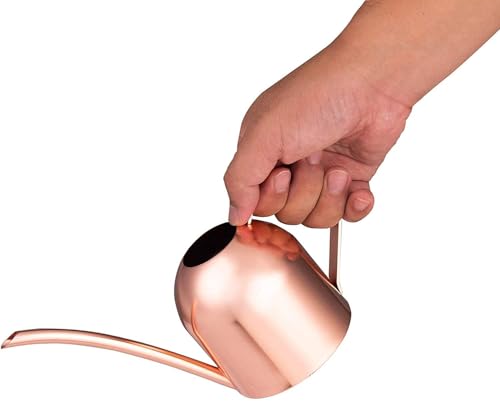 IMEEA Mini Indoor Watering Can for Small Plants, Stainless Steel with Long Spout, 15oz/450ml – Perfect for Desk, Windowsill & Bonsai - color: 15oz (Rose Gold)