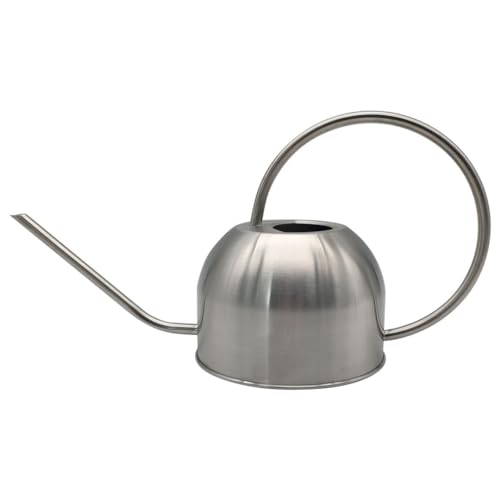 Hamiledyi 50 oz/1500 ml Stainless Steel Watering Can with Long Spout Metal Watering Can Indoor Outdoor Flower Watering Pot for Garden Orchid Bonsai Office Desk Plants (Silver) - color: Silver