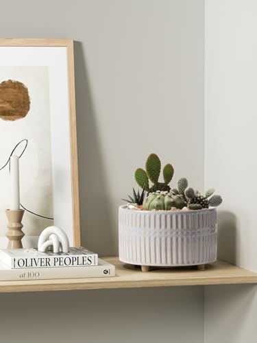 LE TAUCI Succulent Pots, 6.5+8 Inch Ceramic Indoor Plant Pot with Drainage Hole, Shallow Round Succulent Planters, Set of 2, Reactive Glaze Star White - color: Reactive Glaze Star White