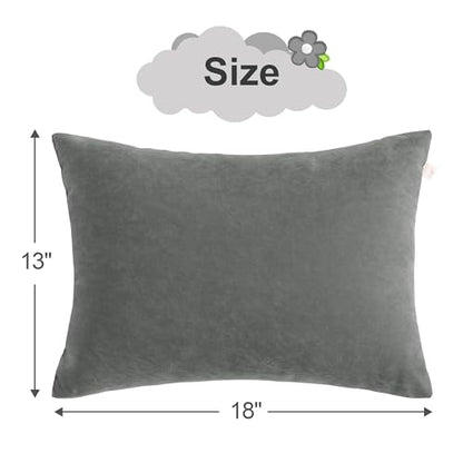 BEDSUM Toddler Pillows 13x18 Microfiber: Travel Inserts, 2 Pack, Dark Grey | Soft brushed microfiber, 13x18 size, 2 pillow inserts, machine washable, lightweight for daycare, travel, and home use - color: Dark Grey, size: 13x18 inches