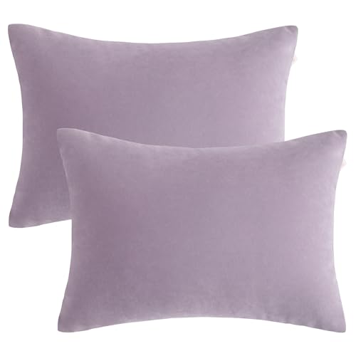 BEDSUM Toddler Pillows 13x18 Microfiber: Travel Inserts, 2 Pack, Lavender | Soft brushed microfiber, 13x18 size, 2 pillow inserts, machine washable, lightweight for daycare, travel, and home use - color: Lavender, size: 13x18 inches
