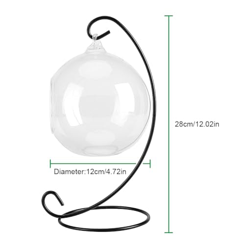 Air Plant Terrarium Kit with Stand, Hanging Glass VaseTerrarium Globe with Metal Ornament Display Stand Tabletop Glass Terrarium for Air Plants Succulent Planters Small Plants