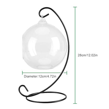 Air Plant Terrarium Kit with Stand, Hanging Glass VaseTerrarium Globe with Metal Ornament Display Stand Tabletop Glass Terrarium for Air Plants Succulent Planters Small Plants