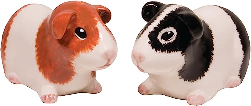 Streamline Imagined Guinea Pig Salt and Pepper Shaker Set - style: Guinea Pig