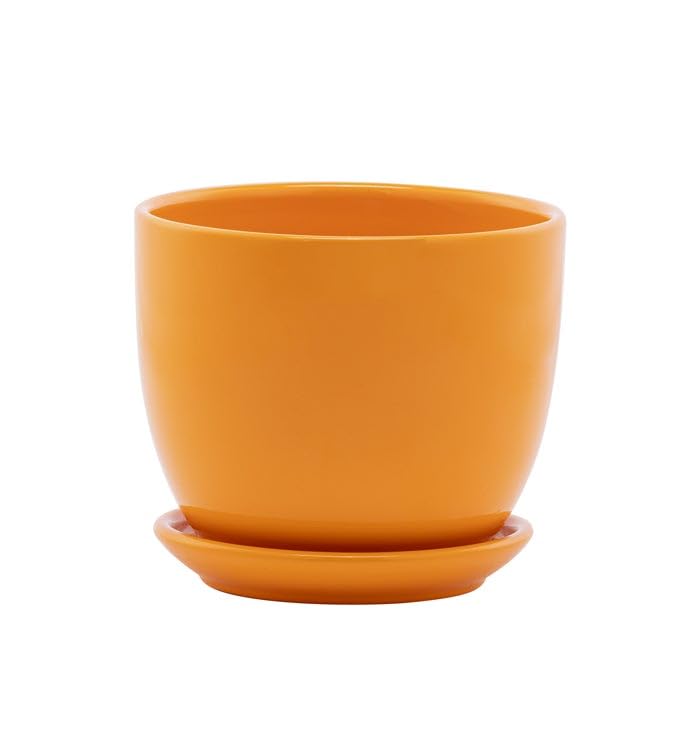Napco Imports Smooth Modern Design 4.25 x 4.25 Inch Carrot Orange Ceramic Indoor Planter Pot with Attached Saucer