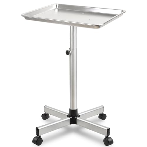 Salon Tray, Salon Color Tray with Adjustable Height, Salon Tray on Wheels, Salon Rolling Tray, Ideal Use As Tattoo Tray＆Dental Tray - color: Silver