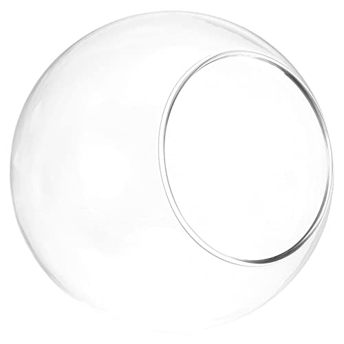 PATIKIL Round Globe Terrarium Air Plant Planter, 3.2 Inch High Borosilicate Glass Table Decorations for Succulent, Tillandsia, Clear - size: 3.2 Inch